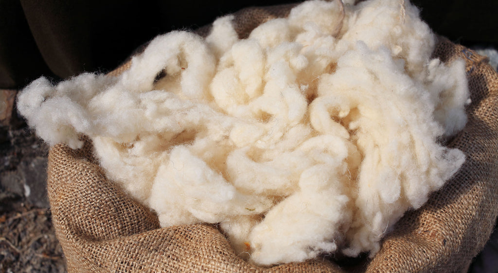 I benefici della lana