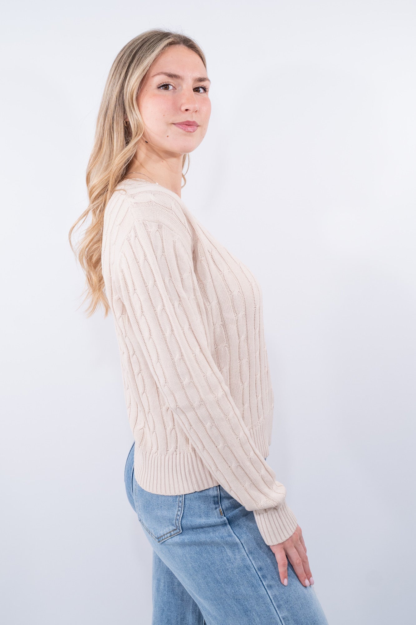 COLOR::BEIGE::2