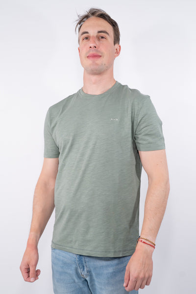 COLOR::ALGA::1
